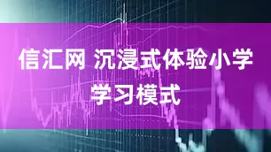 信汇网 沉浸式体验小学学习模式