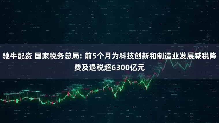 驰牛配资 国家税务总局: 前5个月为科技创新和制造业发展减税降费及退税超6300亿元