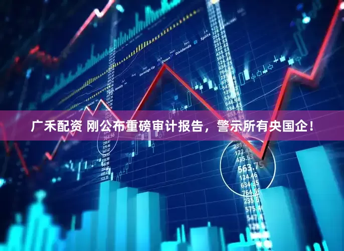 广禾配资 刚公布重磅审计报告，警示所有央国企！
