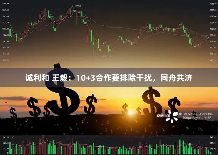 诚利和 王毅：10+3合作要排除干扰，同舟共济